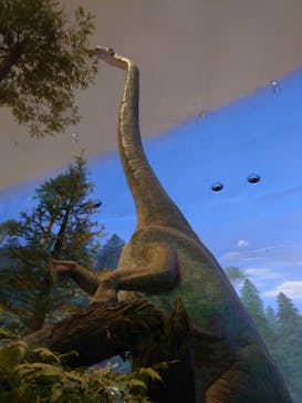 福井県立恐竜博物館に投稿された画像（2023/10/20）