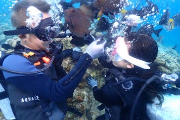 ダイビングショップ　ハイビスカスに投稿された画像（2023/10/20）