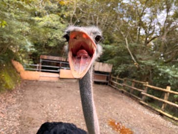 長崎バイオパークに投稿された画像（2023/10/20）