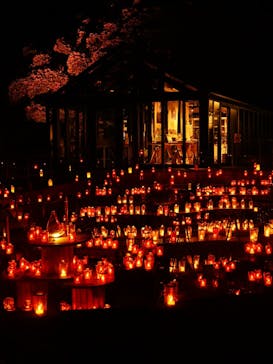 江の島シーキャンドルに投稿された画像（2023/10/20）