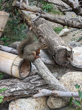 神戸どうぶつ王国に投稿された画像（2023/10/20）