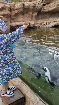 神戸どうぶつ王国に投稿された画像（2023/10/20）