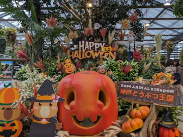 神戸どうぶつ王国に投稿された画像（2023/10/20）