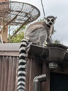 神戸どうぶつ王国に投稿された画像（2023/10/20）