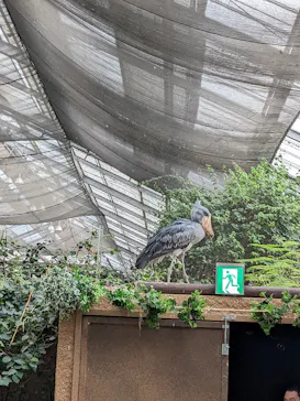 神戸どうぶつ王国に投稿された画像（2023/10/20）