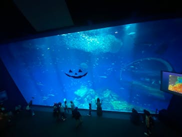 アクアワールド茨城県大洗水族館に投稿された画像（2023/10/20）