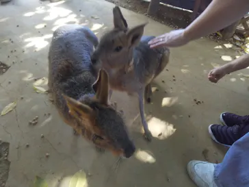 横浜・八景島シーパラダイスに投稿された画像（2023/10/20）