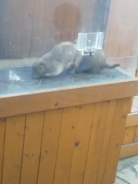 横浜・八景島シーパラダイスに投稿された画像（2023/10/20）