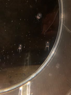 新江ノ島水族館に投稿された画像（2023/10/20）