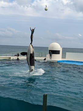 鴨川シーワールドに投稿された画像（2023/10/20）