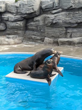 鴨川シーワールドに投稿された画像（2023/10/20）