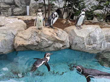 鴨川シーワールドに投稿された画像（2023/10/20）