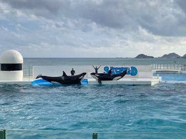 鴨川シーワールドに投稿された画像（2023/10/20）