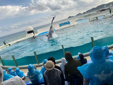 鴨川シーワールドに投稿された画像（2023/10/20）