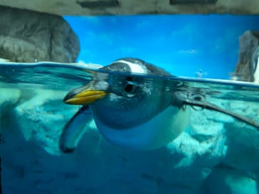 鴨川シーワールドに投稿された画像（2023/10/20）