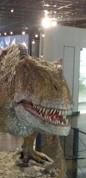 福井県立恐竜博物館に投稿された画像（2023/10/20）