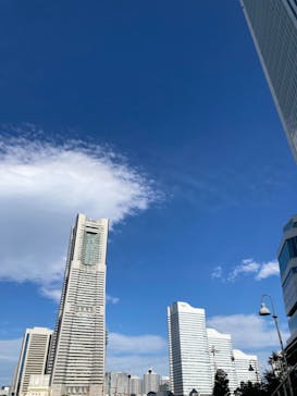 横浜おいも万博に投稿された画像（2023/10/20）