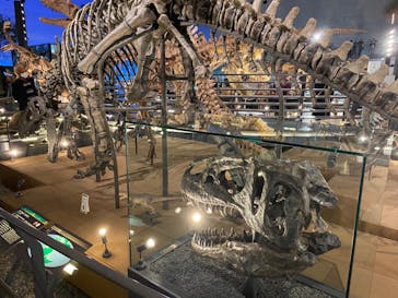 福井県立恐竜博物館に投稿された画像（2023/10/20）