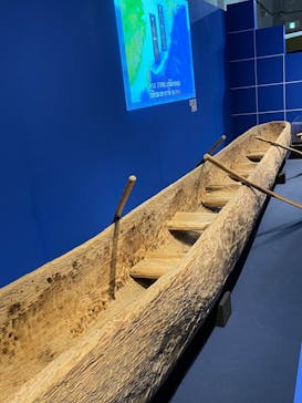 特別展「海　―生命のみなもと―」（国立科学博物館）に投稿された画像（2023/10/21）