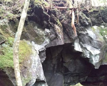 TOCORO.TOURS（トコロツアーズ）に投稿された画像（2023/10/21）