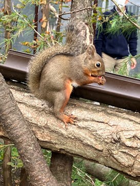 那須どうぶつ王国に投稿された画像（2023/10/21）