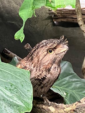 那須どうぶつ王国に投稿された画像（2023/10/21）