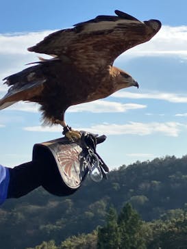 那須どうぶつ王国に投稿された画像（2023/10/21）