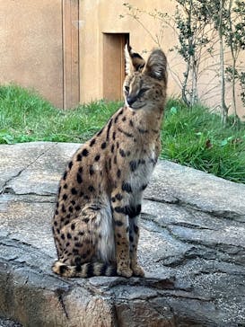 那須どうぶつ王国に投稿された画像（2023/10/21）