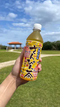 武藤潜水に投稿された画像（2023/10/21）