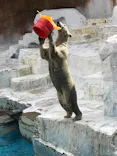 天王寺動物園に投稿された画像（2023/10/21）