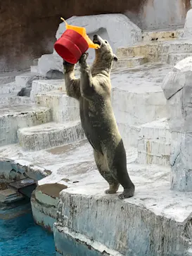 天王寺動物園に投稿された画像（2023/10/21）