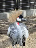 天王寺動物園に投稿された画像（2023/10/21）