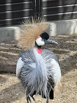 天王寺動物園に投稿された画像（2023/10/21）