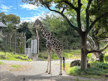 天王寺動物園に投稿された画像（2023/10/21）
