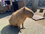 伊豆シャボテン動物公園に投稿された画像（2023/10/21）