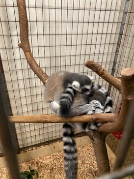 伊豆シャボテン動物公園に投稿された画像（2023/10/21）