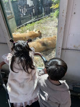 名古屋市東山動植物園に投稿された画像（2023/10/21）