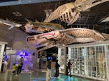 国立科学博物館に投稿された画像（2023/10/21）