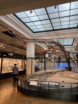 国立科学博物館に投稿された画像（2023/10/21）