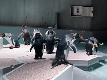 AOAO SAPPOROに投稿された画像（2023/10/21）