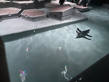 AOAO SAPPOROに投稿された画像（2023/10/21）