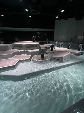 AOAO SAPPOROに投稿された画像（2023/10/21）