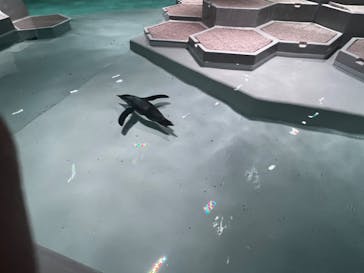 AOAO SAPPOROに投稿された画像（2023/10/21）