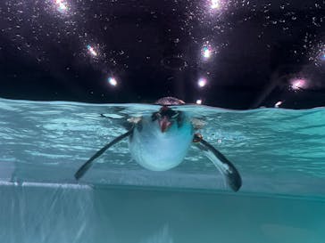 AOAO SAPPOROに投稿された画像（2023/10/21）