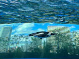 サンシャイン水族館に投稿された画像（2023/10/21）