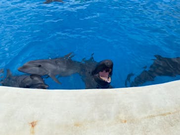 沖縄美ら海水族館に投稿された画像（2023/10/21）