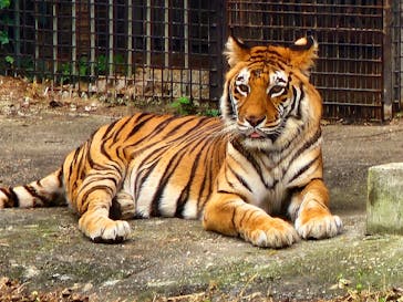 那須サファリパークに投稿された画像（2023/10/21）