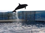 新江ノ島水族館に投稿された画像（2023/10/21）