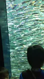 サンシャイン水族館に投稿された画像（2023/10/21）
