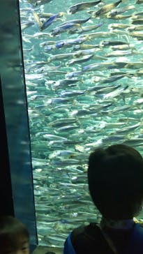 サンシャイン水族館に投稿された画像（2023/10/21）